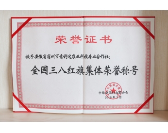 荣誉资质