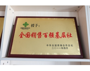 荣誉资质