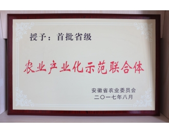 荣誉资质